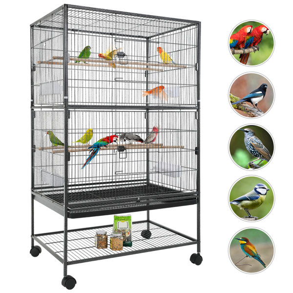 Trent Austin Design® Edgington 53Inch Wrought Iron Large Flight King